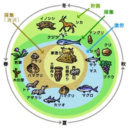 【図２】「縄文カレンダー」縄文文化の食料の季節変化を円に描いて表わしている