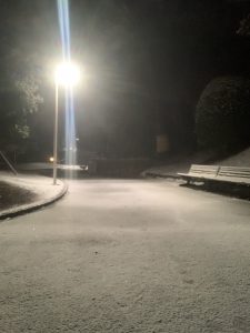 高尾に雪が降りました。